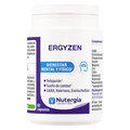 ERGYZEN - Bienestar mental y físico